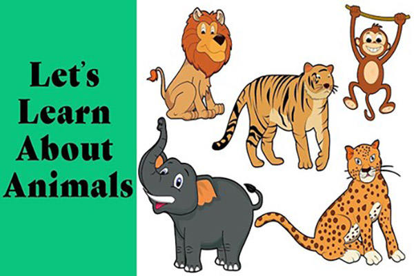 آموزش حیوانات به انگلیسی به کودکان